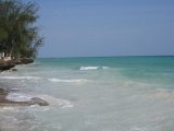   : Zanzibar 2011